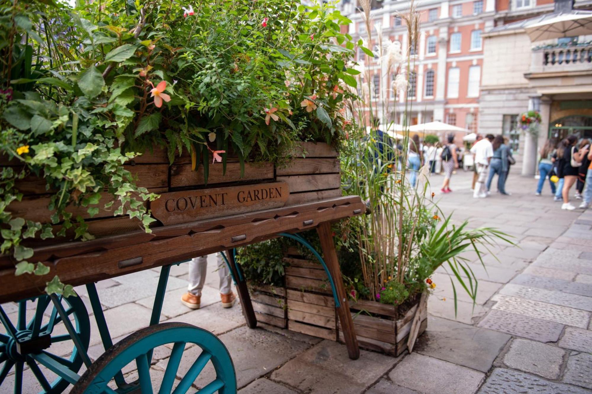 Lovely Charing Cross Apartment London Exteriör bild